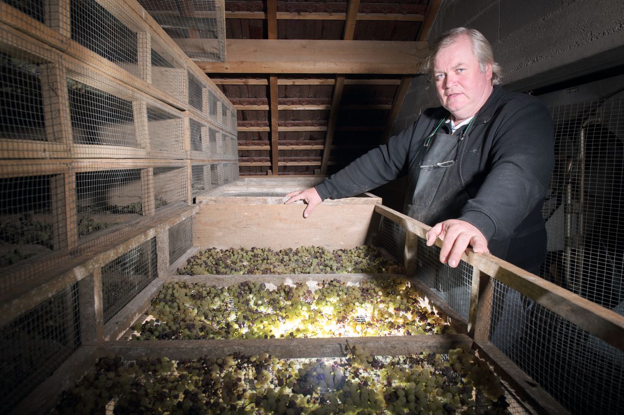 Vins Vigneron François Mossu Mossu-0002